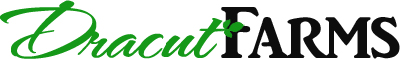 Dracut Farms Logo-Leaf